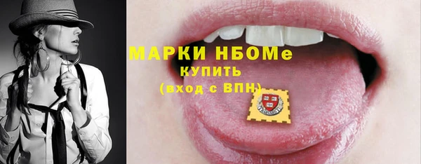 шишки Верея